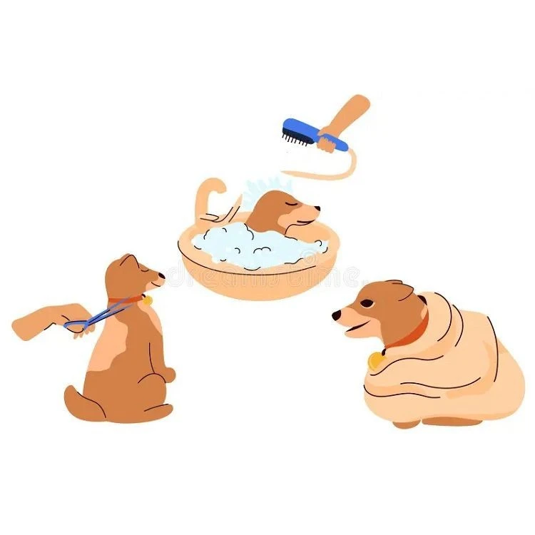 pet-grooming pet-grooming